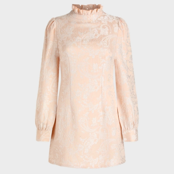 Cider Dresses & Skirts - Beautiful Victorian Embroidered Dress